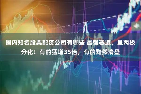 国内知名股票配资公司有哪些 最强赛道，呈两极分化！有的猛增35倍，有的黯然清盘