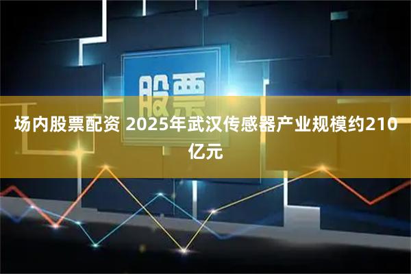 场内股票配资 2025年武汉传感器产业规模约210亿元