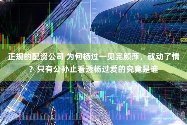 正规的配资公司 为何杨过一见完颜萍，就动了情？只有公孙止看透杨过爱的究竟是谁
